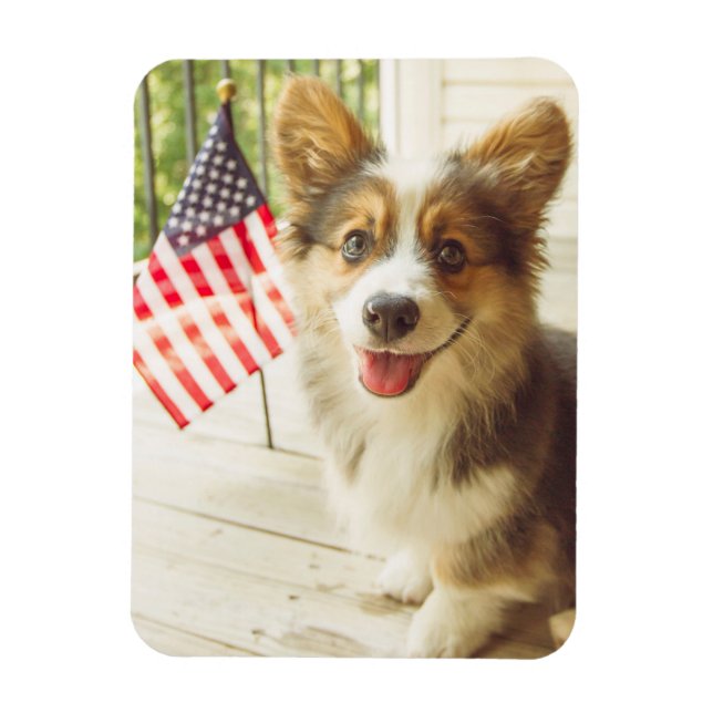 Cutest Baby djur | American Flagga Corgi Magnet (Vertikal)