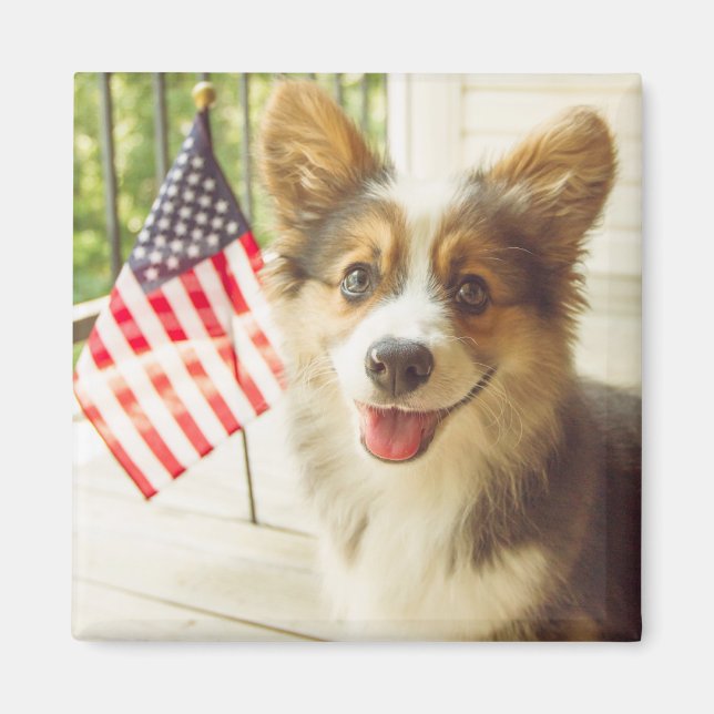 Cutest Baby djur | American Flagga Corgi Magnet (Framsidan)