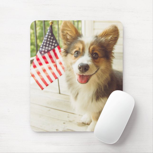 Cutest Baby djur | American Flagga Corgi Musmatta (Med mus)