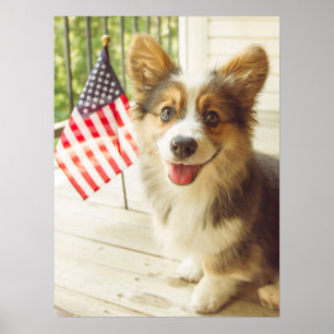 Cutest Baby djur American Flagga Corgi Poster