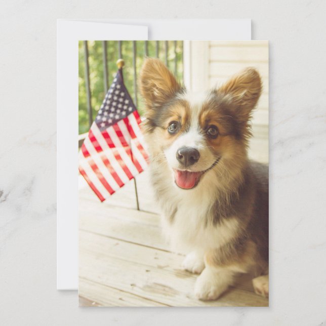 Cutest Baby djur | American Flagga Corgi Tack Kort (Framsida)