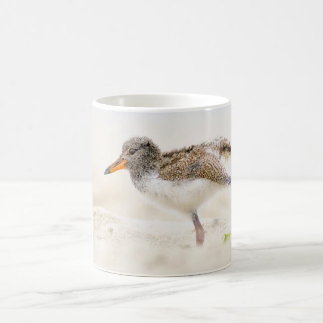 Cutest Baby djur | Amerikansk Oystercatcher-Chick Kaffemugg (Center)