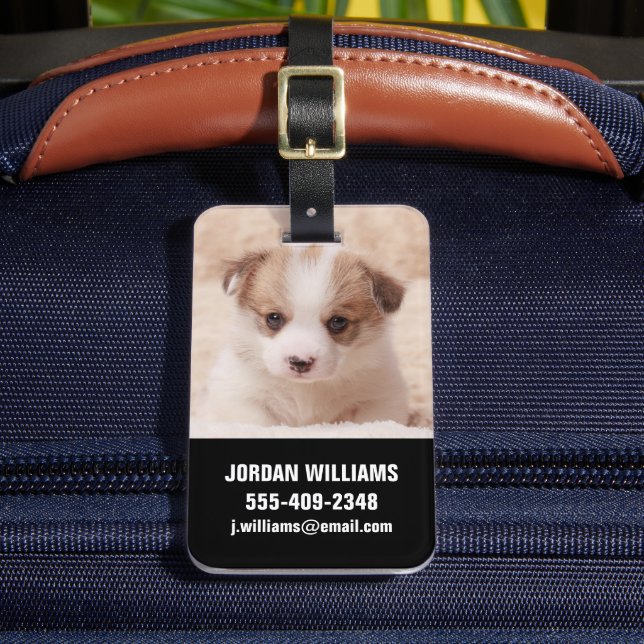 Cutest Baby djur | Baby Corgi Bagagebricka (Framsida Insitu 2)
