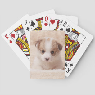 Cutest Baby djur Baby Corgi Casinokort