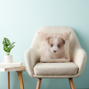 Cutest Baby djur   Baby Corgi Kudde
