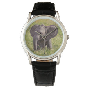 Cutest Baby djur   Baby Elephant Kenya Afrika Armbandsur