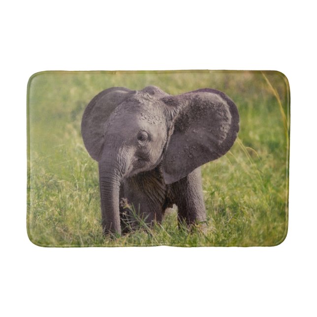 Cutest Baby djur | Baby Elephant Kenya Afrika Badrumsmatta (Framsidan)