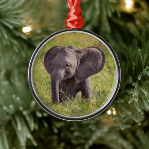 Cutest Baby djur Baby Elephant Kenya Afrika Julgransprydnad Metall