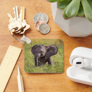 Cutest Baby djur Baby Elephant Kenya Afrika Nyckelring