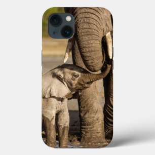 Cutest Baby djur Baby Elephant & Mamma