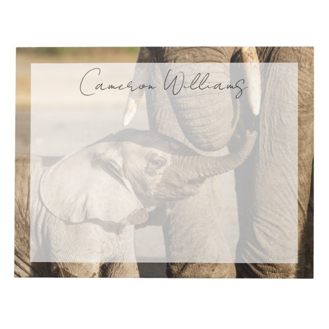 Cutest Baby djur | Baby Elephant & Mamma Anteckningsblock (Framsida)