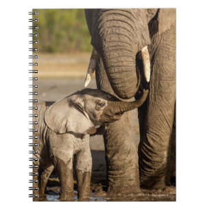 Cutest Baby djur Baby Elephant & Mamma Anteckningsbok