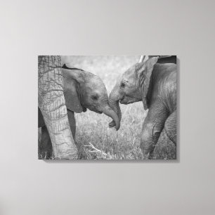 Cutest Baby djur Baby Elephants Hälsning Canvastryck