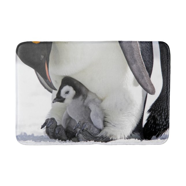 Cutest Baby djur | Baby Emperor Penguin Badrumsmatta (Framsidan)