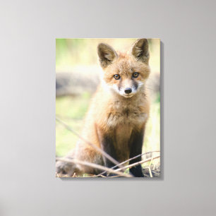Cutest Baby djur Baby Fox Canvastryck