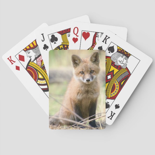 Cutest Baby djur | Baby Fox Casinokort (Baksidan)