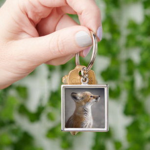 Cutest Baby djur Baby Fox Porträtt Fyrkantig Silverfärgad Nyckelring