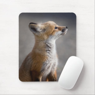 Cutest Baby djur Baby Fox Porträtt Musmatta