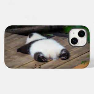 Cutest Baby djur Baby Giant Panda Sleeping
