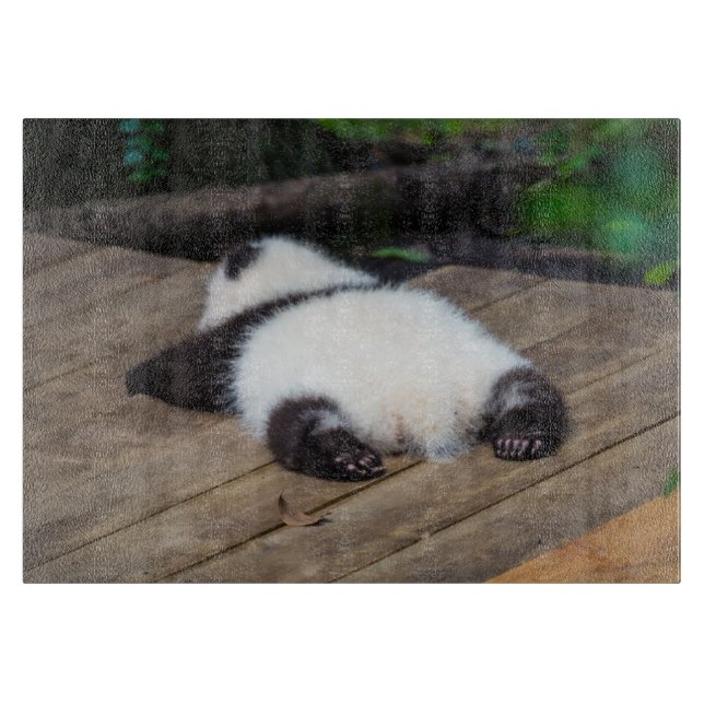 Cutest Baby djur | Baby Giant Panda Sleeping (Framsidan)