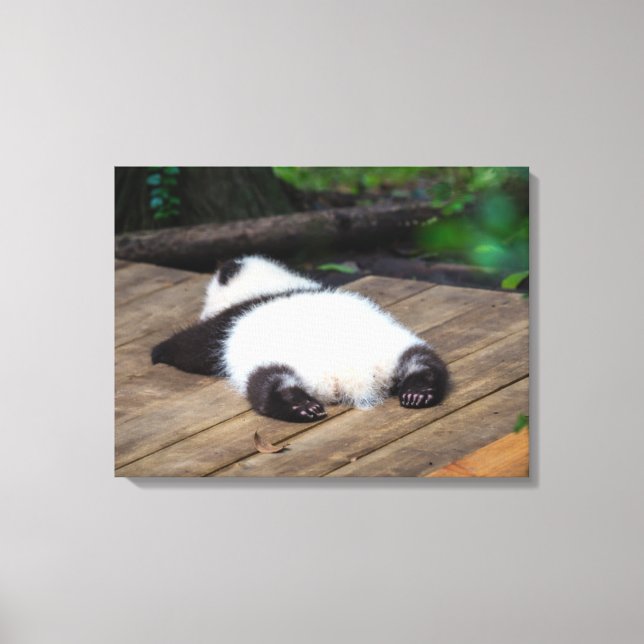 Cutest Baby djur | Baby Giant Panda Sleeping Canvastryck (Framsida)
