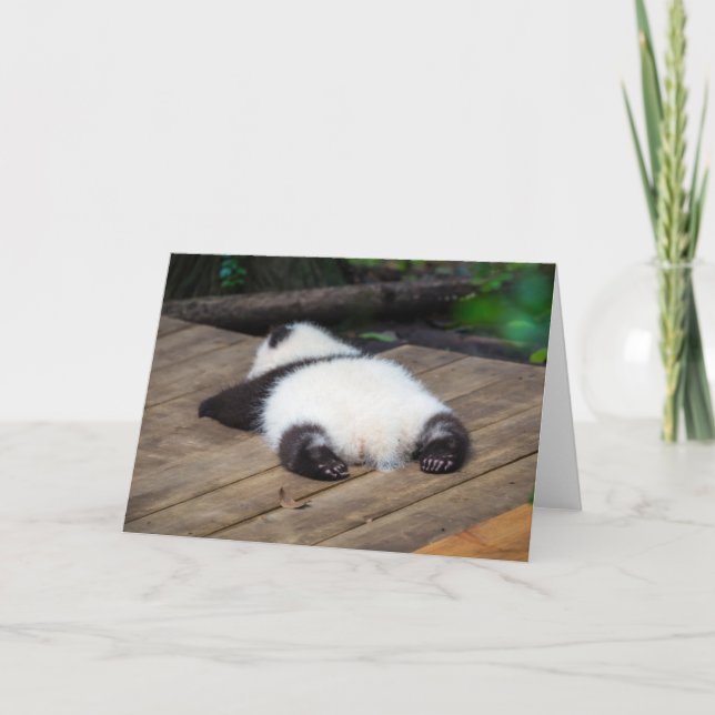 Cutest Baby djur | Baby Giant Panda Sleeping Kort (Framsida)