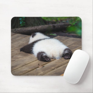 Cutest Baby djur   Baby Giant Panda Sleeping Musmatta