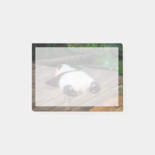Cutest Baby djur Baby Giant Panda Sleeping Post-it Block
