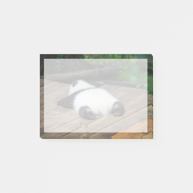 Cutest Baby djur | Baby Giant Panda Sleeping Post-it Block (Framsida)