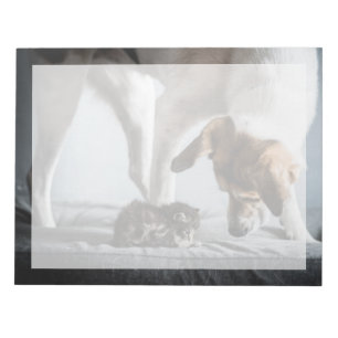 Cutest Baby djur Baby Kitten & Hund Anteckningsblock