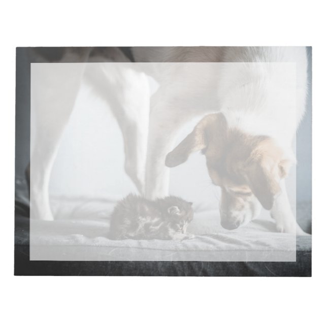 Cutest Baby djur | Baby Kitten & Hund Anteckningsblock (Framsida)