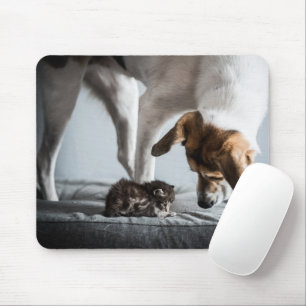 Cutest Baby djur Baby Kitten & Hund Musmatta