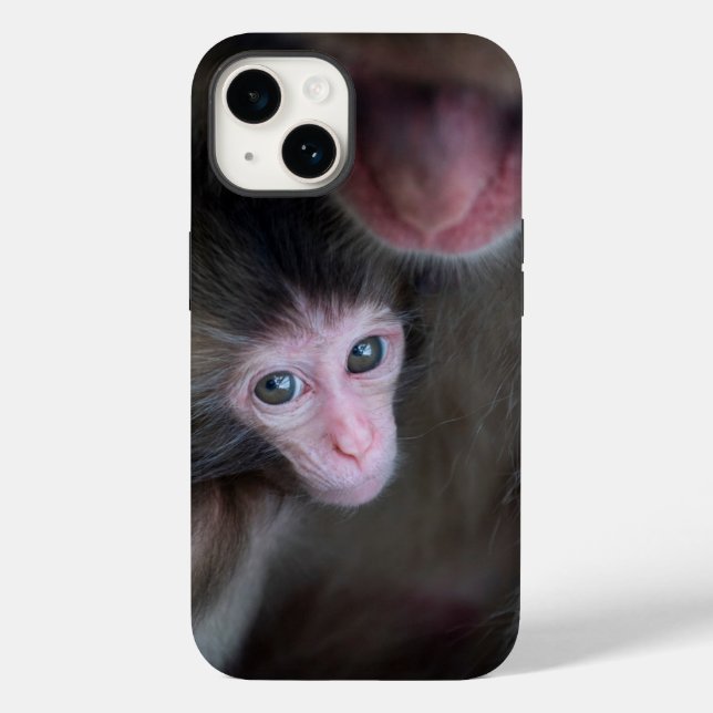 Cutest Baby djur | Baby Macaque Monkey och Mor (Baksida)
