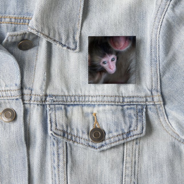 Cutest Baby djur | Baby Macaque Monkey och Mor Knapp (In Situ)