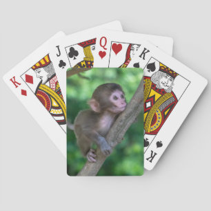 Cutest Baby djur   Baby Monkey Casinokort