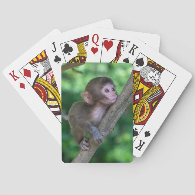 Cutest Baby djur | Baby Monkey Casinokort (Baksidan)