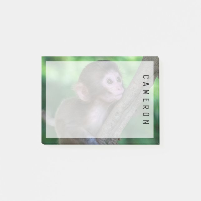 Cutest Baby djur | Baby Monkey Post-it Block (Framsida)