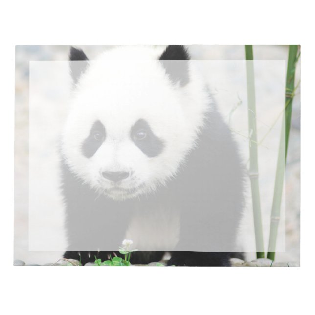 Cutest Baby djur | Baby Panda Bear Anteckningsblock (Framsida)