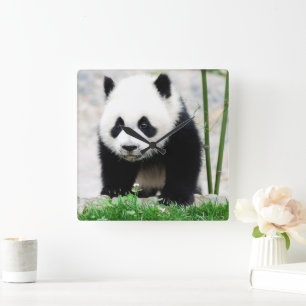 Cutest Baby djur   Baby Panda Bear Fyrkantig Klocka