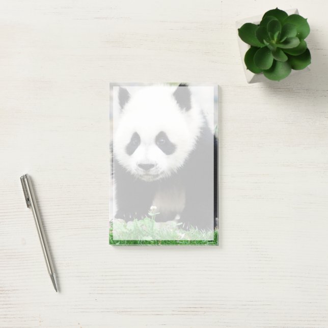 Cutest Baby djur | Baby Panda Bear Post-it Block (Kontor)