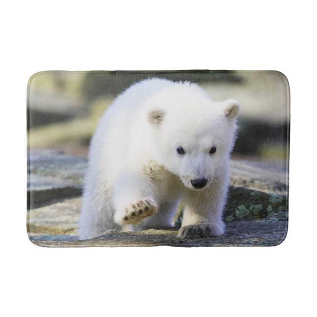 Cutest Baby djur | Baby Polar Bear Unge Badrumsmatta (Framsidan)