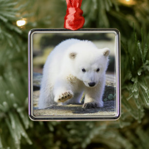 Cutest Baby djur Baby Polar Bear Unge Julgransprydnad Metall