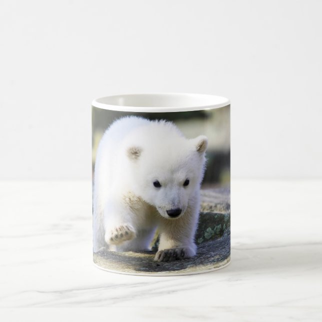 Cutest Baby djur | Baby Polar Bear Unge Kaffemugg (Center)