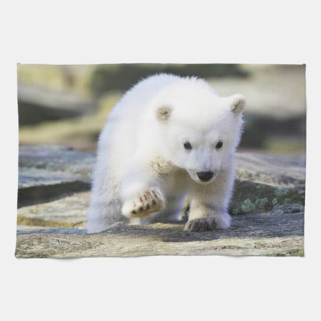 Cutest Baby djur | Baby Polar Bear Unge Kökshandduk (Horisontell)