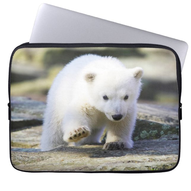 Cutest Baby djur | Baby Polar Bear Unge Laptop Fodral (Framsidan)