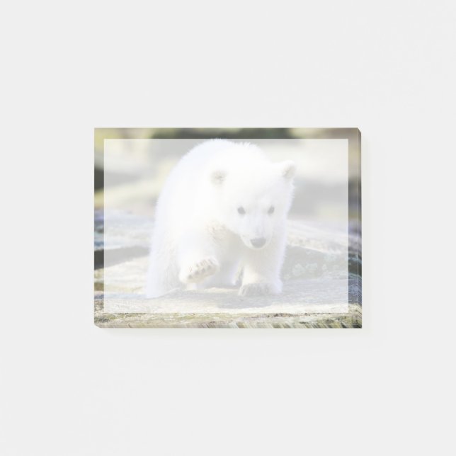 Cutest Baby djur | Baby Polar Bear Unge Post-it Block (Framsida)