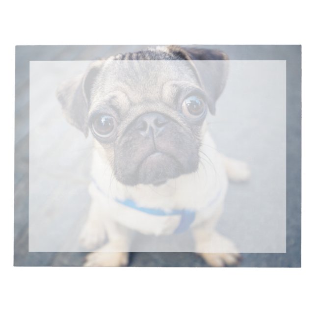 Cutest Baby djur | Baby Pug Anteckningsblock (Framsida)