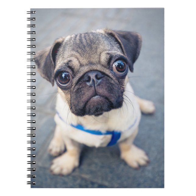 Cutest Baby djur | Baby Pug Anteckningsbok (Framsidan)