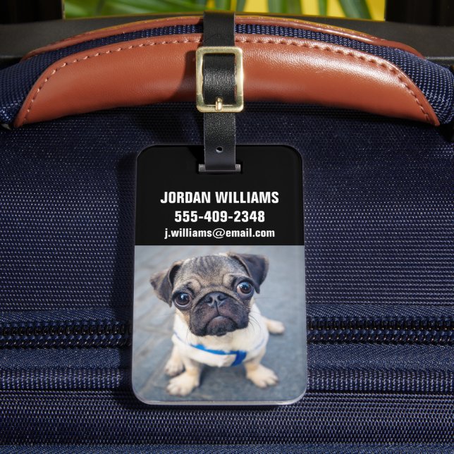 Cutest Baby djur | Baby Pug Bagagebricka (Framsida Insitu 2)