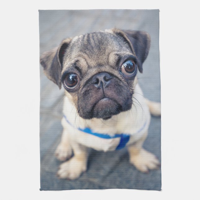 Cutest Baby djur | Baby Pug Kökshandduk (Vertikal)